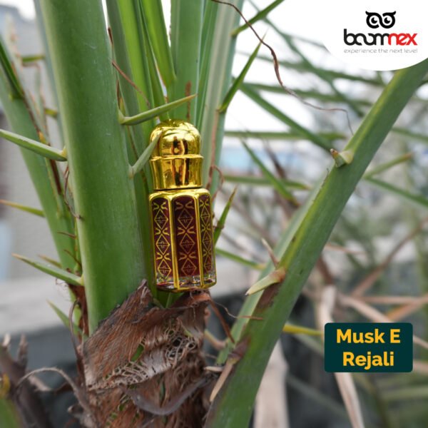 Musk E Rejali (6ml Bottle)